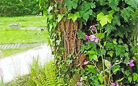Mirguet au Jardin